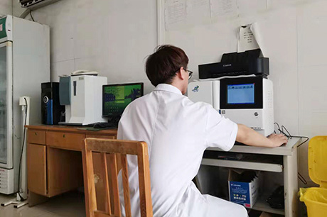 钙铁锌哂检测仪器香蕉视频免费在线播放生物之缺铜的影响