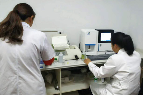 北京新香蕉视频免费在线播放生物介绍哪些食物能清热祛湿？